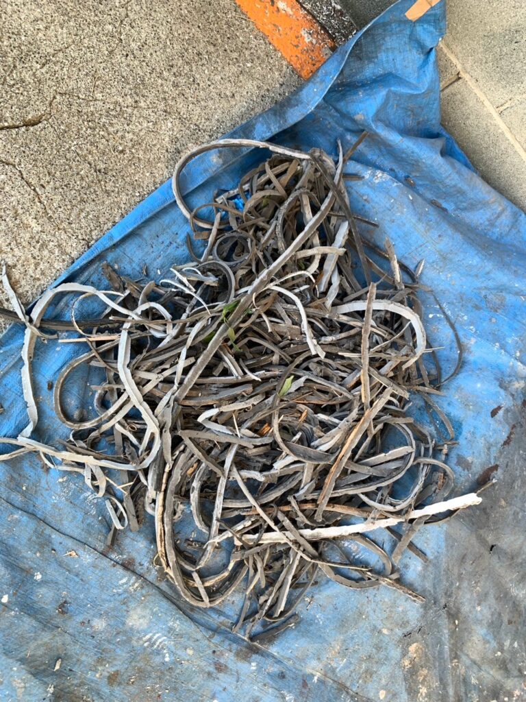 既存シーリング撤去