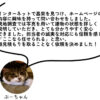 ぷーちゃん