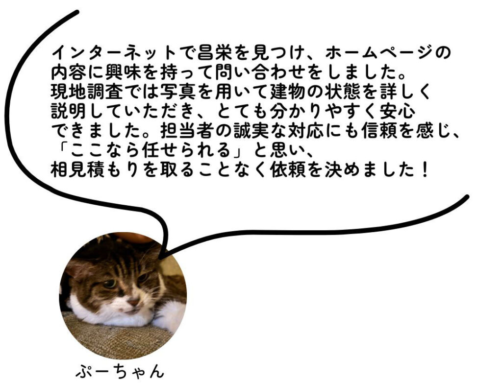 ぷーちゃん