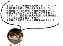 ぷーちゃん