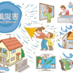 台風の被害