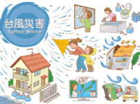 台風の被害
